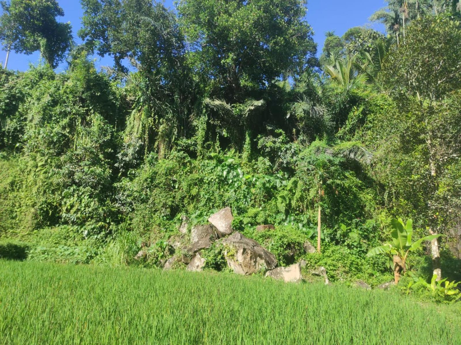 Nan Bungalows Tetebatu Exterior photo